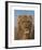 Portrait of a Lion - Prado-Rosa Bonheur-Framed Premium Giclee Print