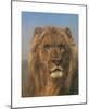 Portrait of a Lion - Prado-Rosa Bonheur-Mounted Premium Giclee Print