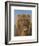 Portrait of a Lion - Prado-Rosa Bonheur-Framed Premium Giclee Print