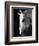 Portrait of a Lipizzaner Horse-Karen Tweedy-Holmes-Framed Photographic Print