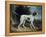 Portrait of a Liver and White Pointer-George Garrard-Framed Premier Image Canvas