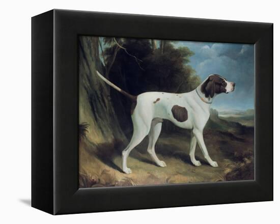 Portrait of a Liver and White Pointer-George Garrard-Framed Premier Image Canvas