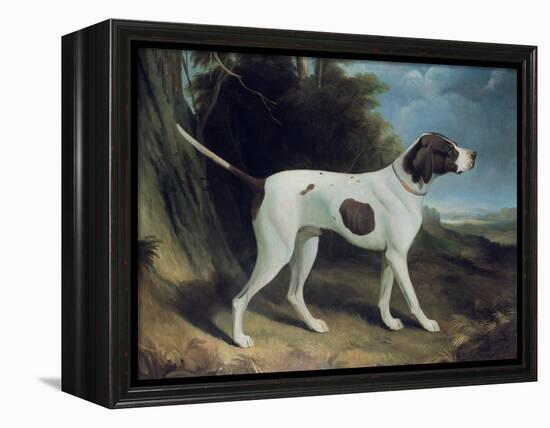 Portrait of a Liver and White Pointer-George Garrard-Framed Premier Image Canvas