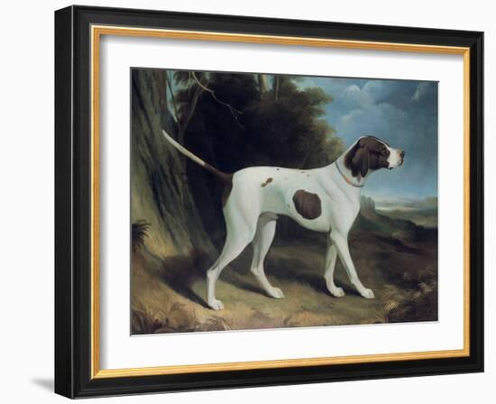 Portrait of a Liver and White Pointer-George Garrard-Framed Giclee Print