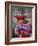 Portrait of a Local Woman in Traditional Dress, Carrying Her Baby on Her Back, Near Cuzco, Peru-Gavin Hellier-Framed Photographic Print