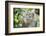 Portrait of a Long Tailed Macaque (Macaca Fascicularis) in the Jungle at Bukit Lawang-Matthew Williams-Ellis-Framed Photographic Print