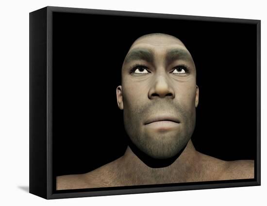 Portrait of a Male Homo Erectus-null-Framed Stretched Canvas