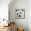 Portrait of a Maltese Dog-Panoramic Images-Framed Photographic Print displayed on a wall