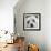 Portrait of a Maltese Dog-Panoramic Images-Framed Photographic Print displayed on a wall