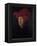 Portrait of a Man, 1433-Jan van Eyck-Framed Premier Image Canvas