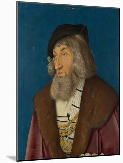 Portrait of a Man, 1514-Hans Baldung-Mounted Giclee Print