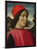 Portrait of a Man, C.1490-Domenico Ghirlandaio-Mounted Giclee Print