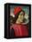 Portrait of a Man, C.1490-Domenico Ghirlandaio-Framed Premier Image Canvas