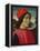 Portrait of a Man, C.1490-Domenico Ghirlandaio-Framed Premier Image Canvas