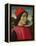 Portrait of a Man, C.1490-Domenico Ghirlandaio-Framed Premier Image Canvas