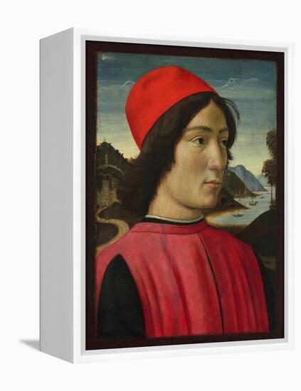 Portrait of a Man, C.1490-Domenico Ghirlandaio-Framed Premier Image Canvas