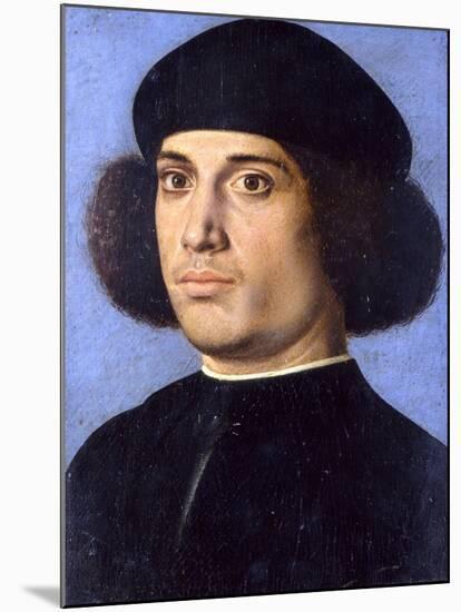 Portrait of a Man, Early16th C-Andrea Previtali-Mounted Giclee Print