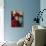 Portrait of a Man in Red, Lhasa, Tibet, China, Asia-Gavin Hellier-Photographic Print displayed on a wall