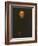 Portrait of a Man-Jacopo Robusti Tintoretto-Framed Giclee Print