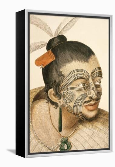 Portrait of a Maori Chief with Full Facial Moko, 1769-Sydney Parkinson-Framed Premier Image Canvas