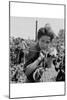 Portrait of a Migratory Boy Picking Hops-Dorothea Lange-Mounted Art Print