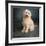 Portrait of a Mini Golden Doodle Dog-null-Framed Photographic Print