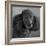 Portrait of a Mini Poodle dog-Panoramic Images-Framed Photographic Print