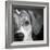 Portrait of a Mixed Dog-Panoramic Images-Framed Photographic Print