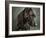 Portrait of a mixed Dog-Panoramic Images-Framed Photographic Print