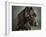 Portrait of a mixed Dog-Panoramic Images-Framed Photographic Print