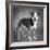 Portrait of a mixed Dog-Panoramic Images-Framed Photographic Print