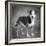 Portrait of a mixed Dog-Panoramic Images-Framed Photographic Print