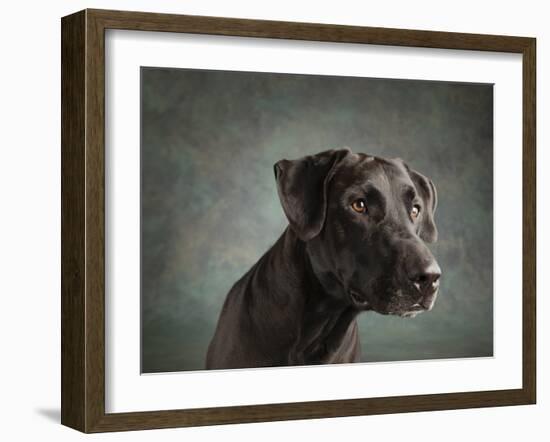 Portrait of a mixed Dog-Panoramic Images-Framed Photographic Print