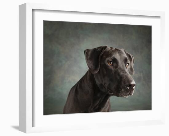 Portrait of a mixed Dog-Panoramic Images-Framed Photographic Print