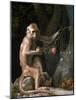 Portrait of a Monkey Dated 1774-George Stubbs-Mounted Giclee Print