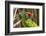 Portrait of a Parrot-Zandria Muench Beraldo-Framed Photographic Print