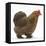 Portrait of a Partridge Pekin Bantam, in Profile-Mark Taylor-Framed Premier Image Canvas