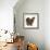 Portrait of a Partridge Pekin Bantam, in Profile-Mark Taylor-Framed Photographic Print displayed on a wall