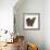 Portrait of a Partridge Pekin Bantam, in Profile-Mark Taylor-Framed Photographic Print displayed on a wall