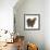 Portrait of a Partridge Pekin Bantam, in Profile-Mark Taylor-Framed Photographic Print displayed on a wall
