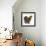 Portrait of a Partridge Pekin Bantam, in Profile-Mark Taylor-Framed Photographic Print displayed on a wall