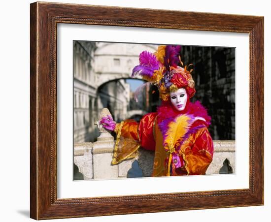 Portrait of a Person Dressed in Mask and Costume Posing in Front of the Bridge of Sighs-Lee Frost-Framed Photographic Print