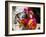 Portrait of a Person Dressed in Mask and Costume Posing in Front of the Bridge of Sighs-Lee Frost-Framed Photographic Print