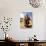 Portrait of a Peruvian Girl in Traditional Dress, with an Animal, Near Cuzco, Peru, South America-Gavin Hellier-Photographic Print displayed on a wall