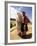 Portrait of a Peruvian Girl in Traditional Dress, with an Animal, Near Cuzco, Peru, South America-Gavin Hellier-Framed Photographic Print