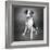 Portrait of a Pointer Terrier mixed dog-Panoramic Images-Framed Photographic Print