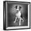 Portrait of a Pointer Terrier mixed dog-Panoramic Images-Framed Photographic Print