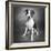 Portrait of a Pointer Terrier mixed dog-Panoramic Images-Framed Photographic Print