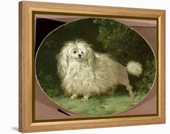 Portrait of a Poodle-Jean Jacques Bachelier-Framed Premier Image Canvas