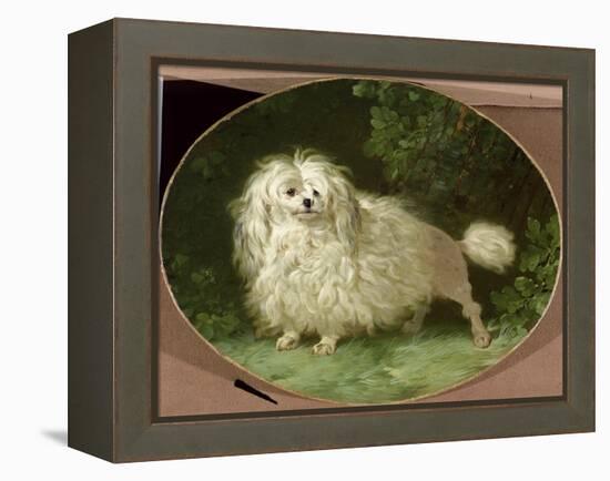 Portrait of a Poodle-Jean Jacques Bachelier-Framed Premier Image Canvas